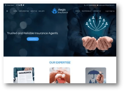 Personalize The Website (WordPress Insurance Agency Website)